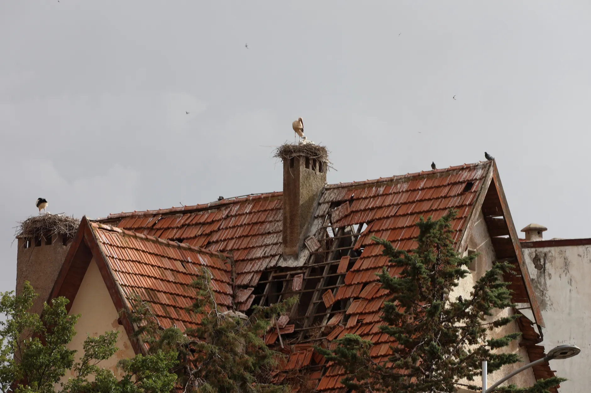 Take the Call and Triage the Roof