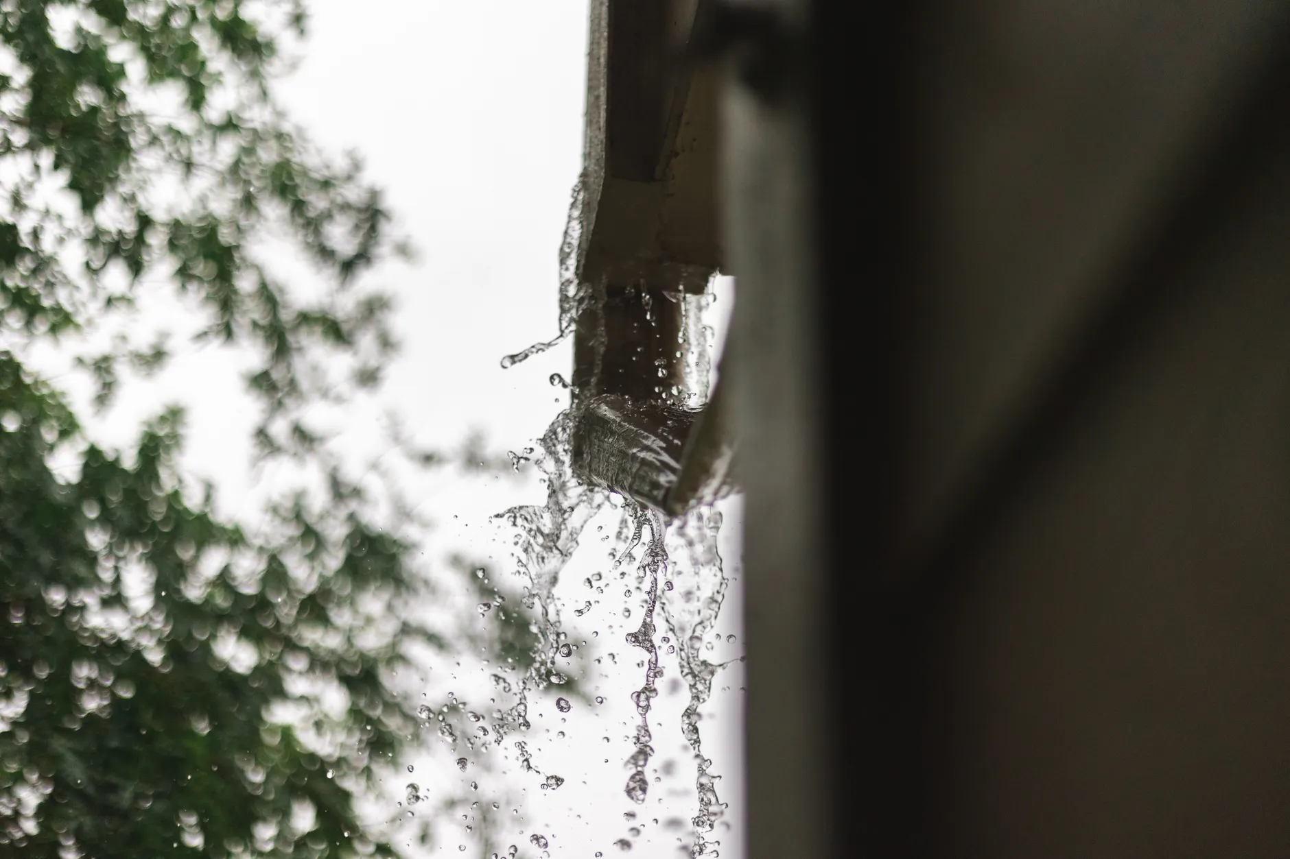 Fascias and Soffits Where Water Has Got In
